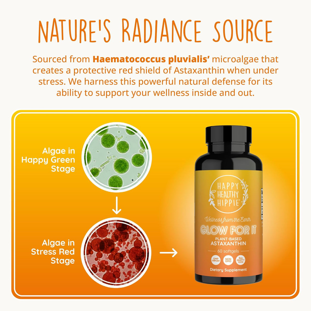 Happy Healthy Hippie Joy-Filled with Saffron Mood Support Supplement & Glow for It Astaxathin Supplement
