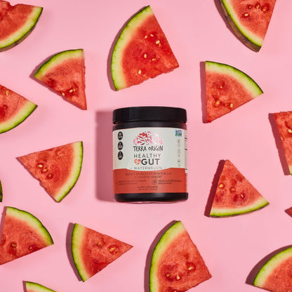 TERRA ORIGIN Healthy Gut Powder (Berry Flavor) |30-Servings with L-Glutamine, Zinc, Glucosamine, Slippery Elm Bark, Marshmallow Root and More!