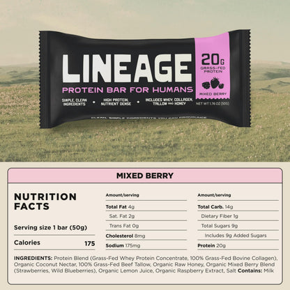Lineage Provisions Chocolate Protein Bars, 12 Pack | 20g grass fed whey protein & collagen, gluten free, no seed oils, nothing artificial, with raw honey