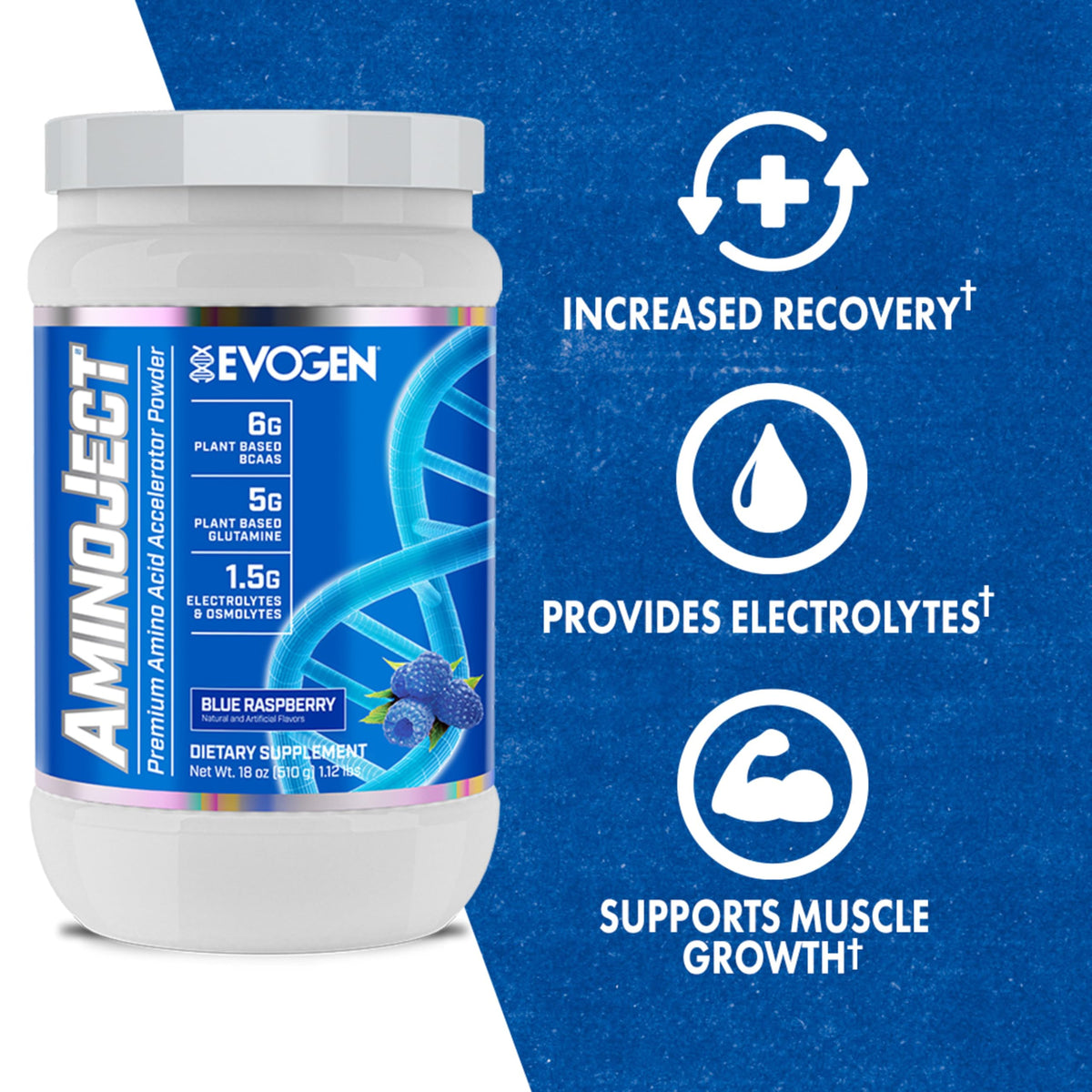 Evogen AminoJect Recovery Formula | Watermelon | 30 Servings | 6g fermented plant-based BCAAs, 5g glutamine, electrolytes, betaine and L-citrulline for hydration and endurance