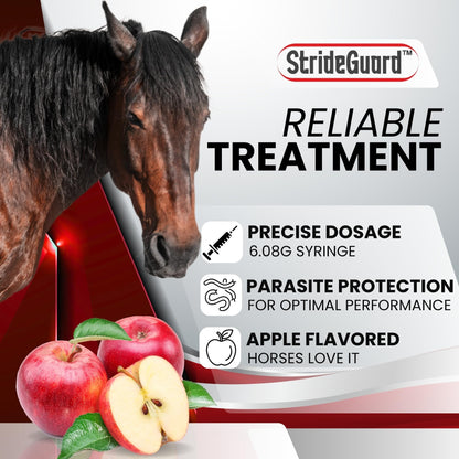 Horse Ivermectin Paste 1.87% – Apple Flavored Oral Horse Dewormer Syringe – 6.08g Tube Treats Horses Up to 1250 LB [Pack-5]