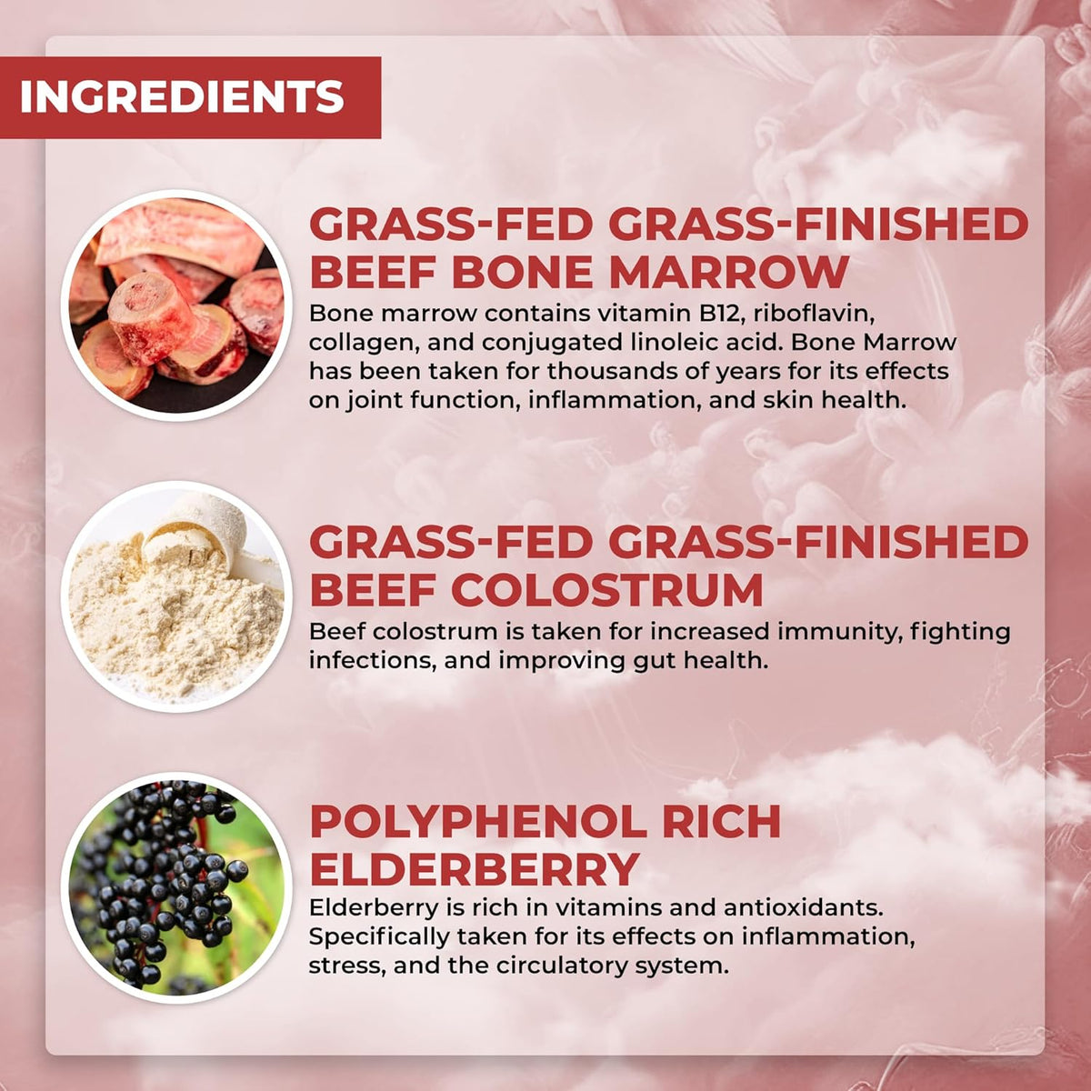 Santa Cruz Paleo, Food of the Gods Grass Fed Beef Organ Supplement for Men and Women, with Collagen, Maca Root, Colostrum, Bone Broth, Iron, Vitamin B12, Gluten Free, Keto Friendly, 30 Servings