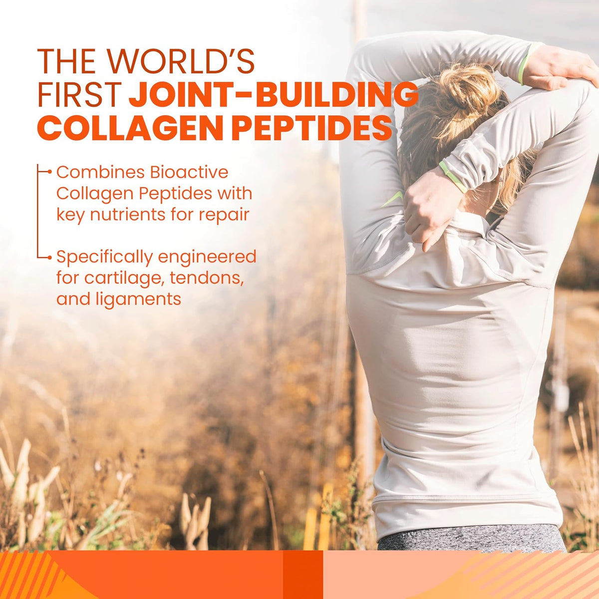 SaltWrap Joint & Muscle Recovery Bundle, Daytime - Collagen & Mag 3D | Made in USA, NSF Certified for Sport, Pairs Fortigel & Tendoforte Peptides with Quercetin, Fisetin and Senactiv Complex