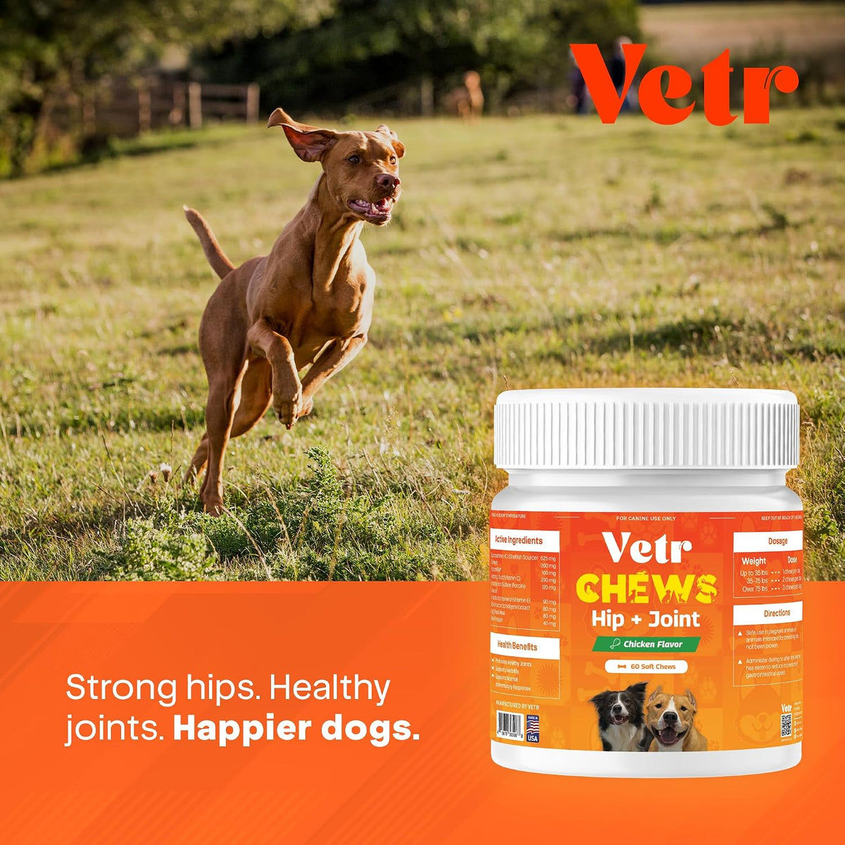 Vetr Hip and Joint Chicken Flavored Chews for Dogs - Glucosamine Chondroitin MSM Supplement - 120 Chewable Tablets - Vet-Formulated in USA