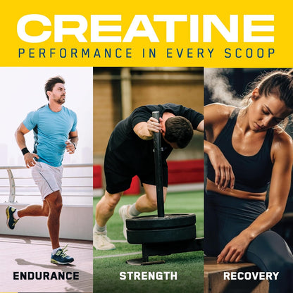 an Performance Creatine Monohydrate + Peptide | Micronized Powder | 5g Creatine, 2.4g PeptiStrong | Vegan, Gluten-Free, Non-GMO | Workout Supplement for Men & Women | Unflavored | 60 Servings