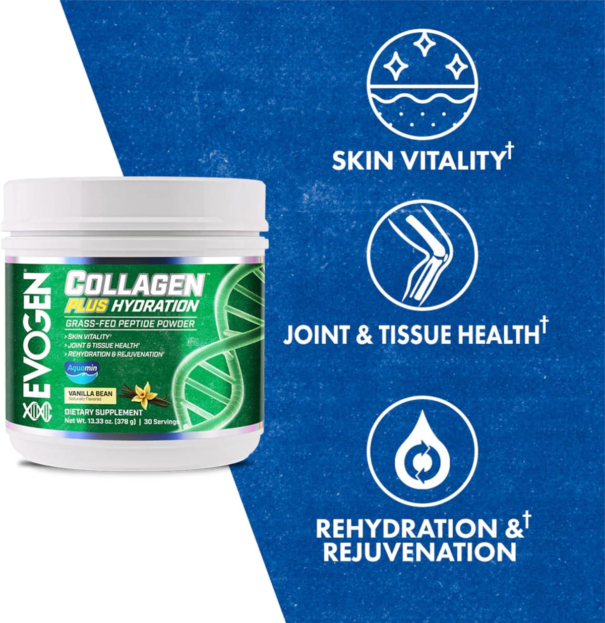 Evogen Collagen Plus Hydration Peptide Powder Plus Hydration | Vanilla Bean | 30 Servings