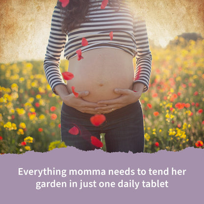 Garden of Life Organics Prenatal Vitamin: Folate for Energy & Healthy Fetal Development & Prenatal DHA