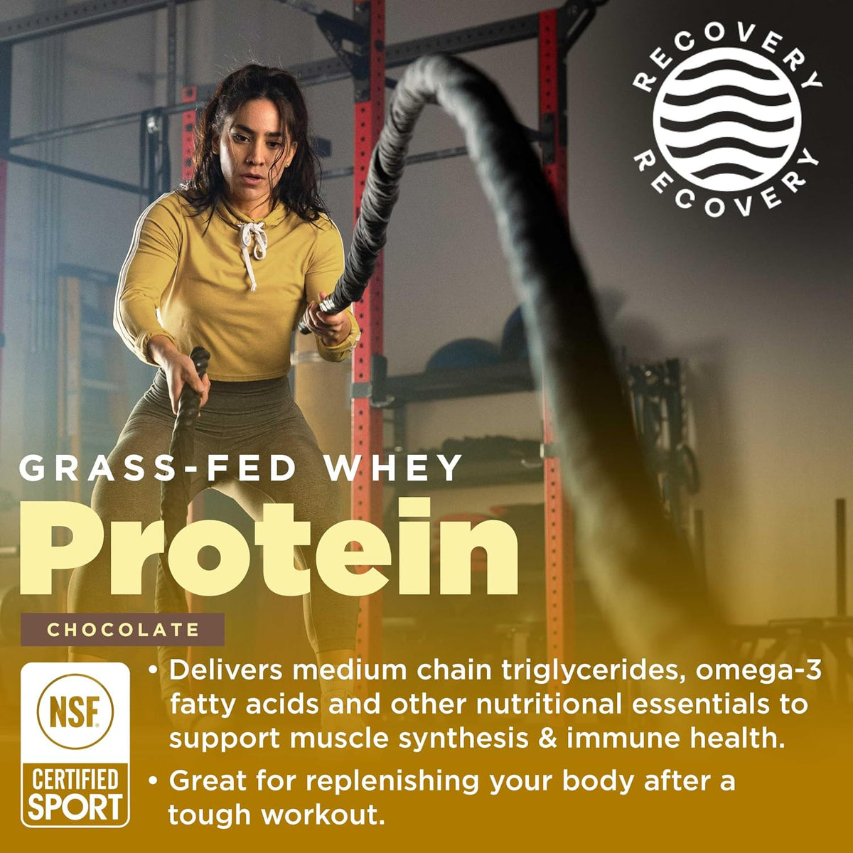 Gnarly Nutrition Creatine Powder, Unflavored (16.05oz) and Gnarly Whey Grass-Fed Protein Supplement, Chocolate (32.0oz)