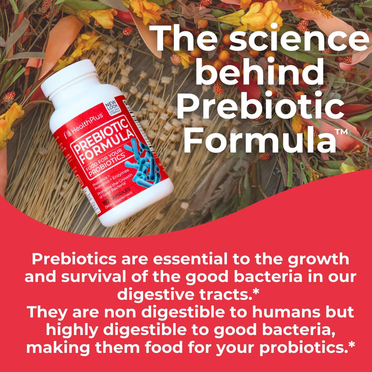 Health Plus Prebiotic Formula Digestive Support, 180 Capsules, 60 Servings | Gluten and dairy free formula with probiotics, prebiotics, and digestive enzymes for daily digestive balance and comfort