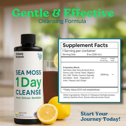 Atlantic Naturals 1 Day Colon Cleanse & Full Body Detox Drink – Sea Moss, Gut Health & Liver Cleanse Juice for Women & Men – Overnight Gut Reset – Lemon Flavor, 8 fl oz