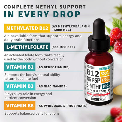 (2-Pack) Methylated B Complex Liquid Drops - Vitamin B Complex with Active L Methylfolate - B12 Sublingual Drops - Vegan B12 Vitamin 5000mcg, Non-GMO, Raspberry Flavor, No Sugar, 2 Fl oz, 80 Servings