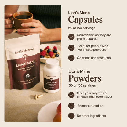 Real Mushrooms Lions Mane Mushroom Cognition (120 Capsules) Lions Mane Mushroom Powder Extract Capsules | Brain Supplement, Brain Vitamins, Focus Supplement