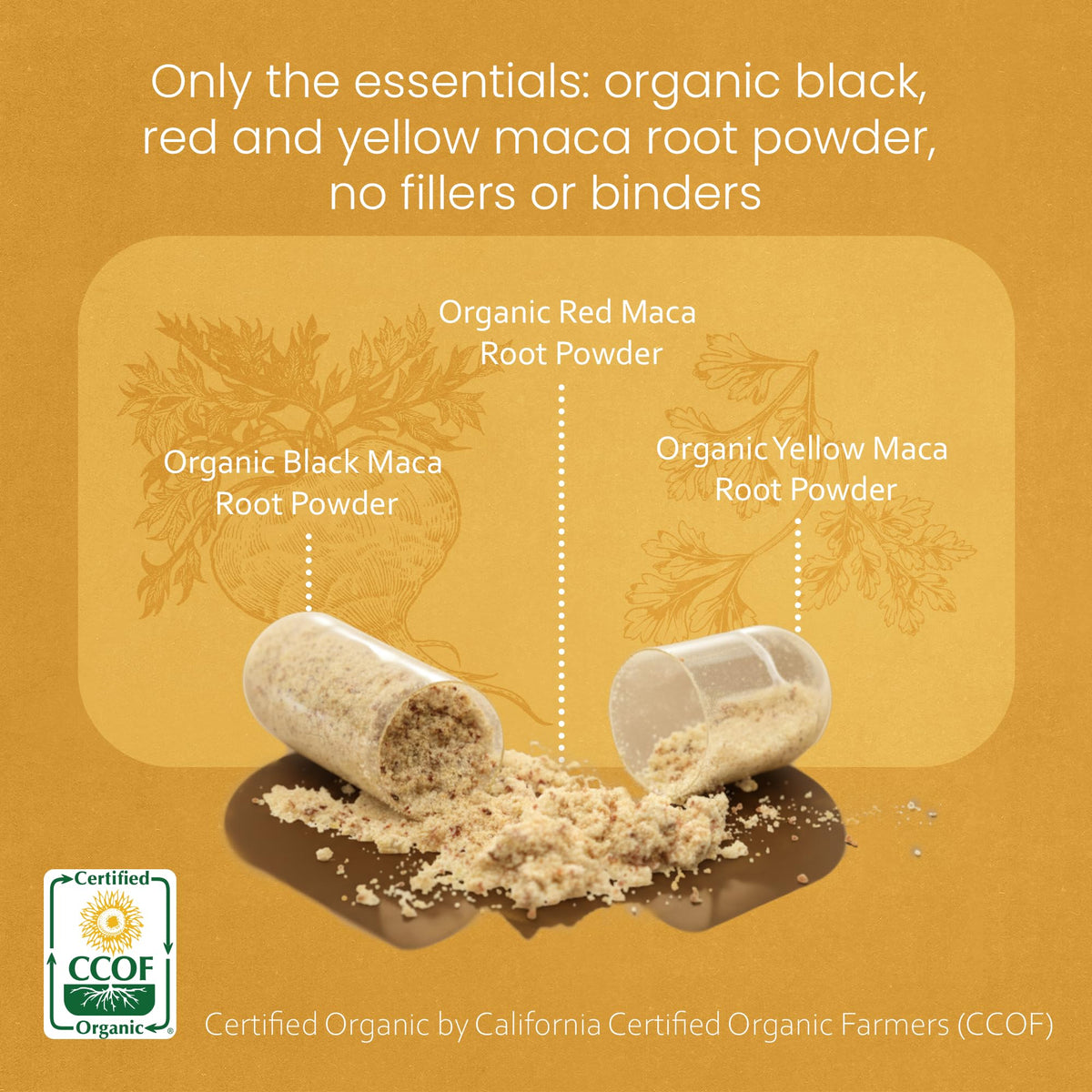 NaturaLife Labs Organic Maca Root – Black, Red & Yellow – 1900 mg per Serving – 150 Capsules – Gelatinized Peruvian Maca