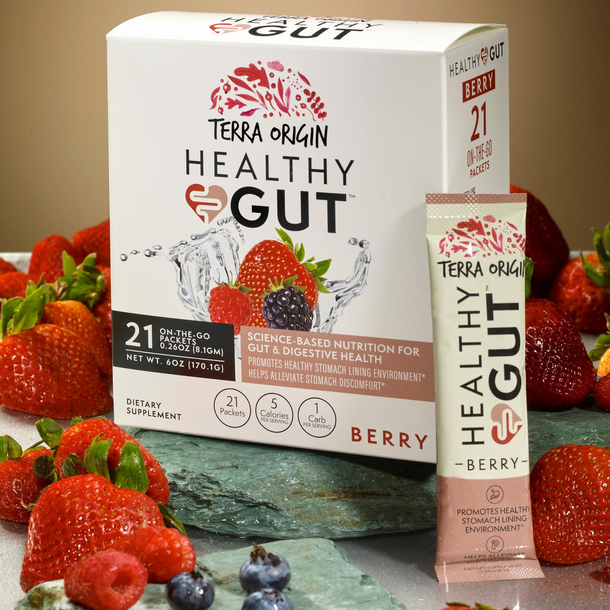 TERRA ORIGIN Healthy Gut Powder (Berry Flavor) |30-Servings with L-Glutamine, Zinc, Glucosamine, Slippery Elm Bark, Marshmallow Root and More!