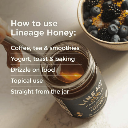 Lineage Provisions Raw Unfiltered Honey, 3-Pack, 18 oz Glass Jars | Undetectable glyphosate, chemical-free, gluten-free & non-GMO. No heating, processing, straining or additives.