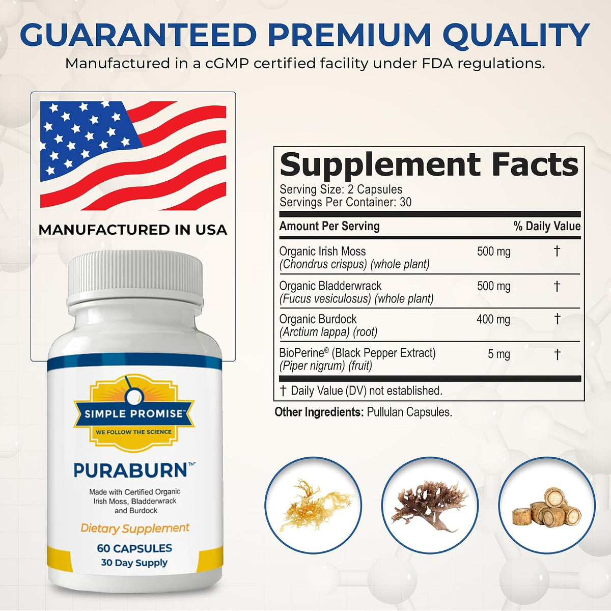 PuraBurn - Irish Sea Moss Capsules for Daily Wellness - Bladderwrack Root | Organic Sea Moss, Nutrient Absorption Support, Bladderwrack and Kelp, Simple 2-Capsule Routine, Non-GMO