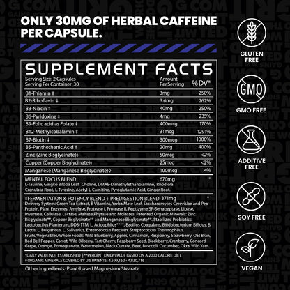 Gains in Bulk Elevated Nootropic for Cognitive Brain Health, 60 Capsules