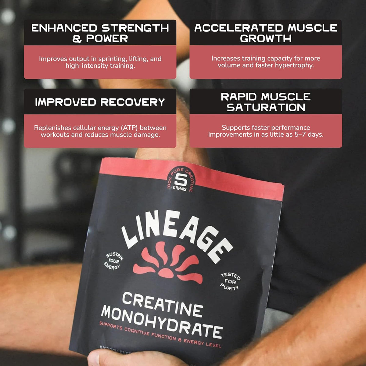Lineage Provisions Creatine Monohydrate with Sea Salt, Bulk 3-Pack | Micronized creatine powder, unflavored creatine supplement for men & women, easy mix, 90 servings each.