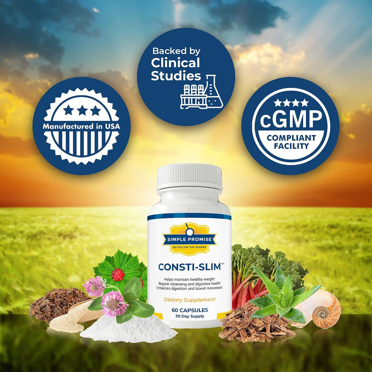 Consti-Slim - Digestive Support for Women and Men - Psyllium Husk Fiber | Herbal Fiber Blend, Digestive Regularity Support, Oat Straw and Alfalfa, Simple 2-Capsule Routine, Non-GMO