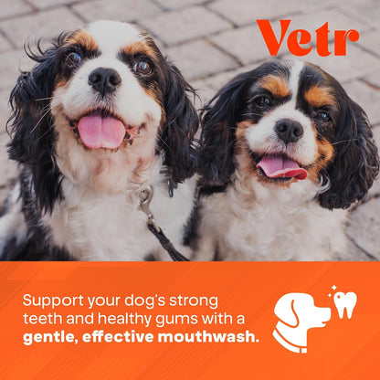 Vetr Dental Formula for Dogs - Peppermint Flavored Oral Care Liquid Additive with Enzymes for Breath and Teeth Support - Vet-Formulated in USA (16 oz)