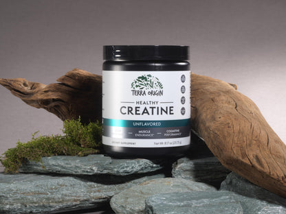 TERRA ORIGIN Healthy Creatine Micronized Monohydrate Powder | 30 Stick Packs | Support for Muscle and Cognitive Performance* | Supplement for Women and Men | Unflavored, Gluten Free, Zero Sugar