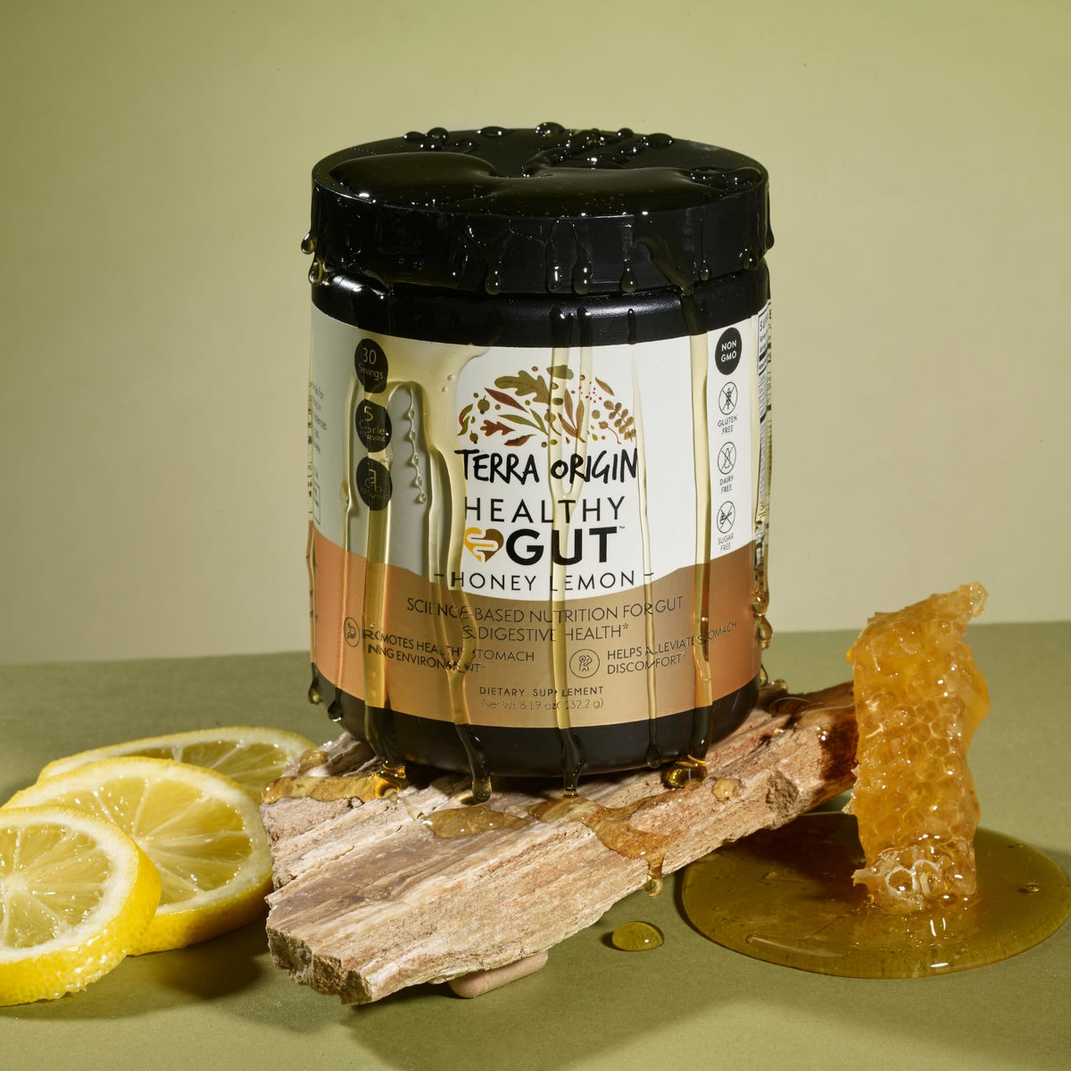 TERRA ORIGIN Healthy Gut Powder (Berry Flavor) |30-Servings with L-Glutamine, Zinc, Glucosamine, Slippery Elm Bark, Marshmallow Root and More!