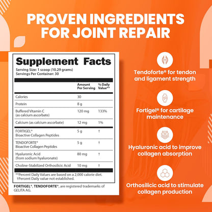 SaltWrap Joint & Muscle Recovery Bundle, Daytime - Collagen & Mag 3D | Made in USA GMP Facility, NSF Certified for Sport, Pairs Fortigel & Tendoforte with Alpha Lipoic Acid and Turmeric C3
