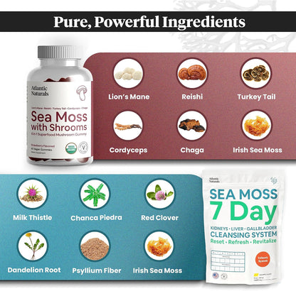 Atlantic Naturals Sea Moss Superfood Bundle - Sea Moss with Shrooms Gummies & 7-Day Kidney, Liver & Gallbladder Cleanse - Defense, Focus & Detox Support - Lion's Mane, Reishi, Dandelion Root & More