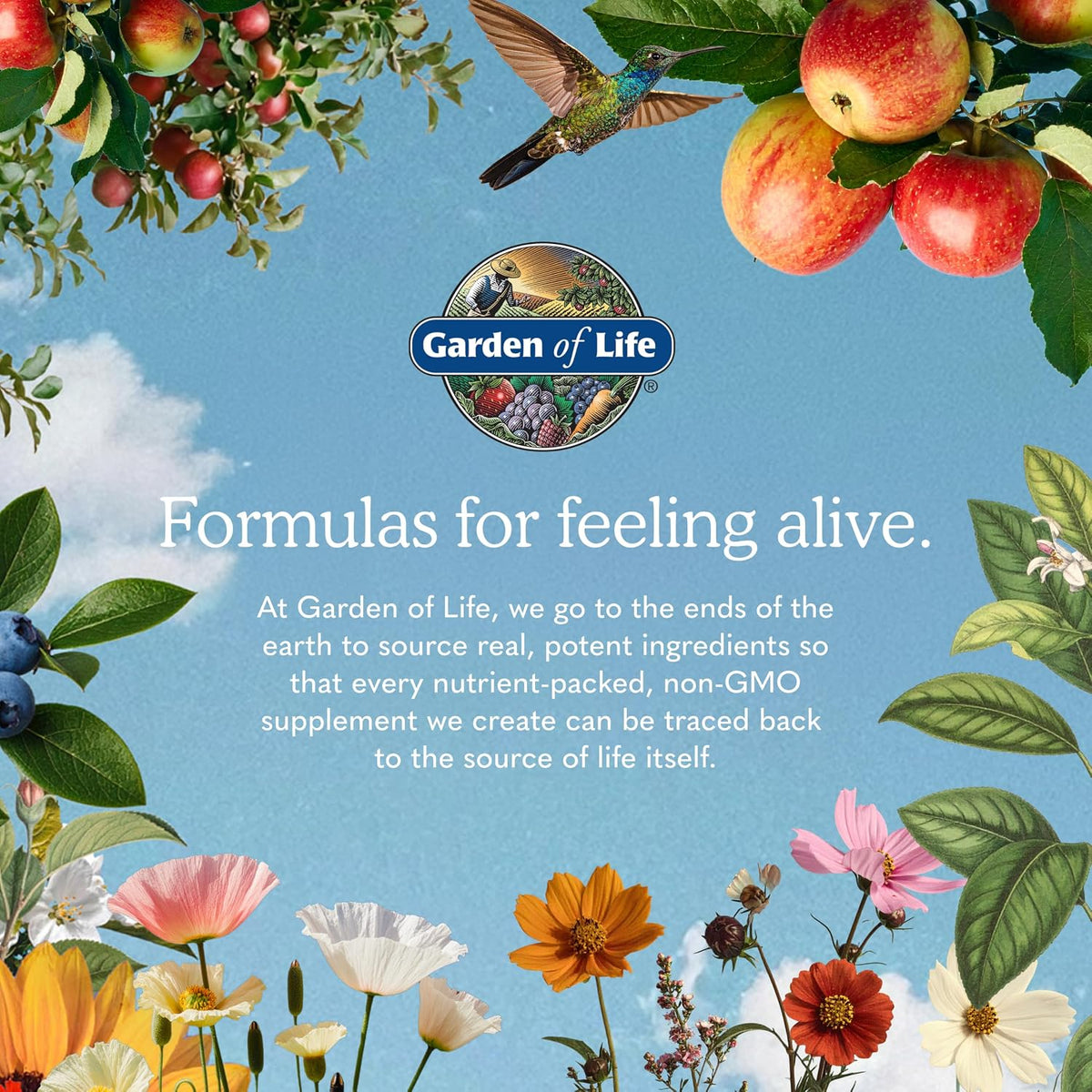 Garden of Life Vitamin Code Raw One for Men, Once Daily Multivitamin, 75 Capsules, One a Day Mens Vitamins plus Fruit, Veggies & Probiotics for Mens Health, Vegetarian Multivitamins