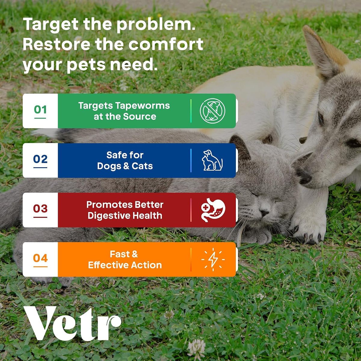 Liquid Intestinal Support for Dogs and Cats with Vetr PraziMax - Targets Tapeworms - 60mL Bottle with Dropper - Roasted Chicken Flavor