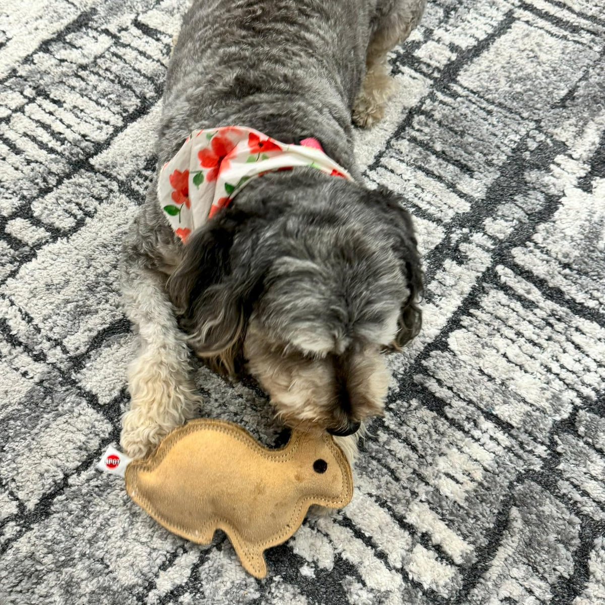 SPOT Dura-Fused Leather Rabbit Dog Toy – Durable Real Leather & Jute Chew Toy with Squeaker, Double-Stitched for Moderate Chewers, Small & Medium Dogs, 7.5in