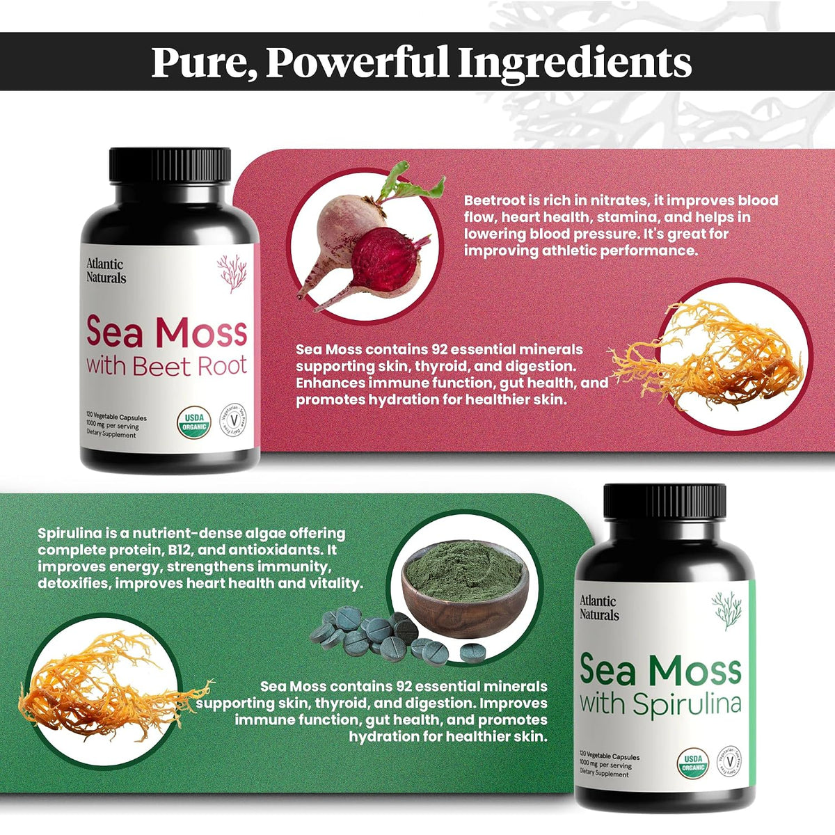 Atlantic Naturals Sea Moss Superfood Bundle - Sea Moss with Beet Root & Spirulina Capsules - Defense Support, Blood Flow, Joint Health & Iron - 240 Capsules (2 x 120 ct)