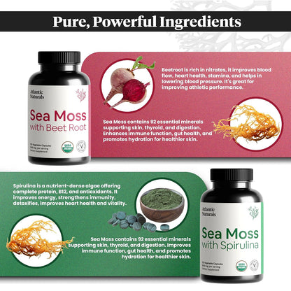 Atlantic Naturals Sea Moss Superfood Bundle - Sea Moss with Beet Root & Spirulina Capsules - Defense Support, Blood Flow, Joint Health & Iron - 240 Capsules (2 x 120 ct)