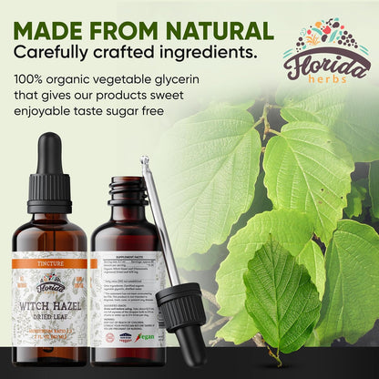 Witch Hazel Leaf Tincture, Witch Hazel Leaf Extract (Hamamelis Virginia) Herbal Supplement, Non-GMO in Cold-Pressed Organic Vegetable Glycerin 2 x 2 oz, 700 mg, 2 oz (60 ml)