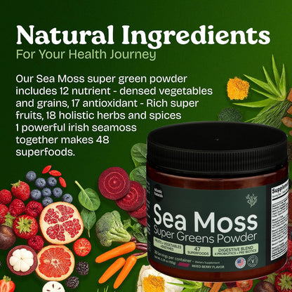 Atlantic Naturals Sea Moss Super Greens Powder – Organic Green Superfood Drink Mix with Fruits, Veggies & Probiotics – Energy, Digestion & Immune Support – 5000mg, Mixed Flavor