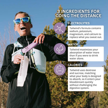 Tailwind Nutrition Endurance Fuel, Berry, 12 Servings