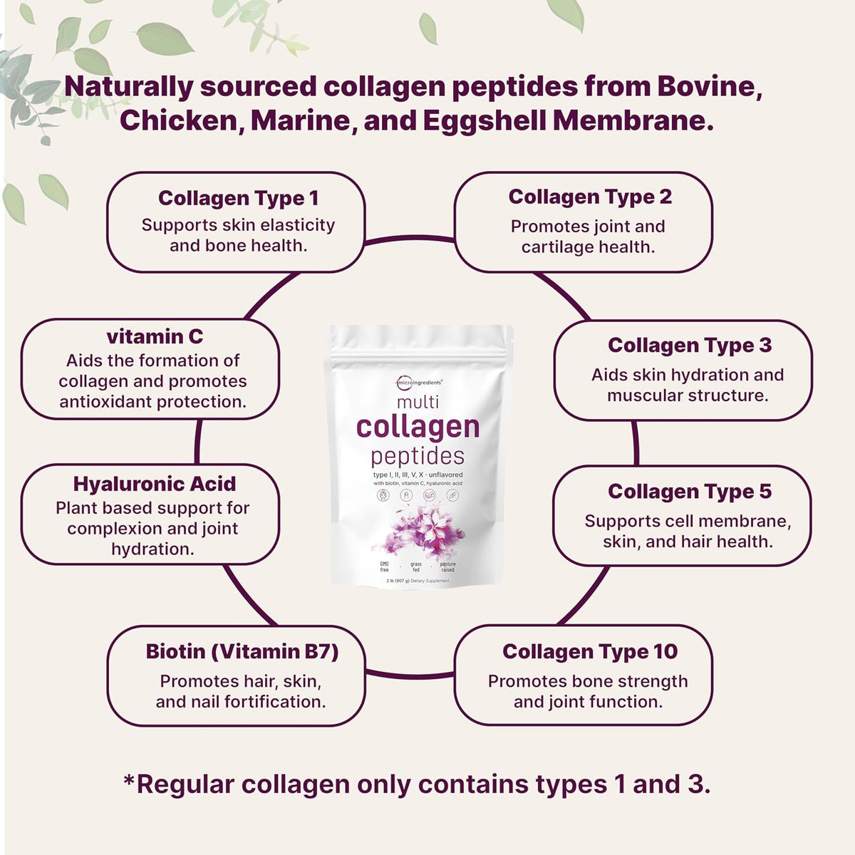 Micro Ingredients 8-in-1 Multi Collagen Powder & Women’s Probiotics 100 Billion CFU Veggie Capsules | 2 Pack | Hydrolyzed Peptides + Hyaluronic Acid & Vitamin C | 40 Strains + Cranberry & D-Mannose - PrimeBioHealth - canada supplements